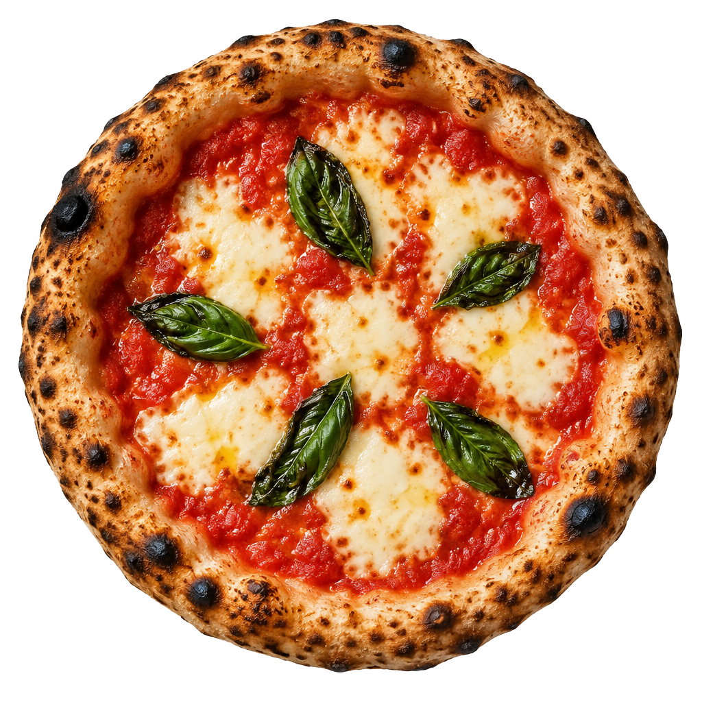 Wood-fired margherita pizza